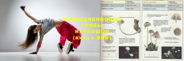 тгк Киреевск