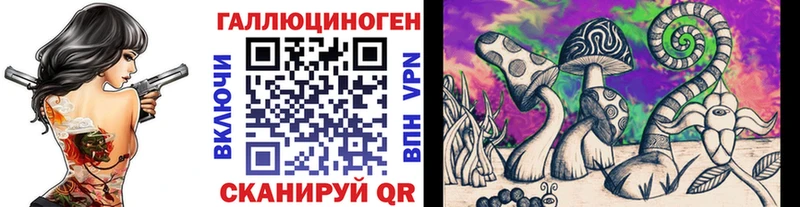 Купить  Железноводск  Галлюциногенные грибы Cubensis 